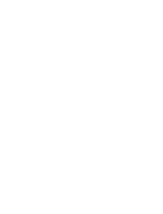 whilebullbigger White bull logo